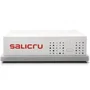Salicru SPS NET2 SAI DC compacto de 20W con batería de Ion-Litio